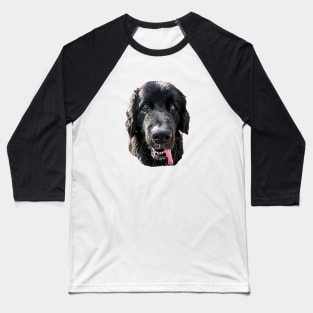 Newfoundland Bright Beauty Baseball T-Shirt